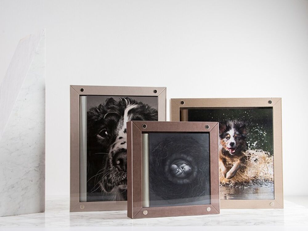 Acrylic and metal prints of a dog standing on a shelf