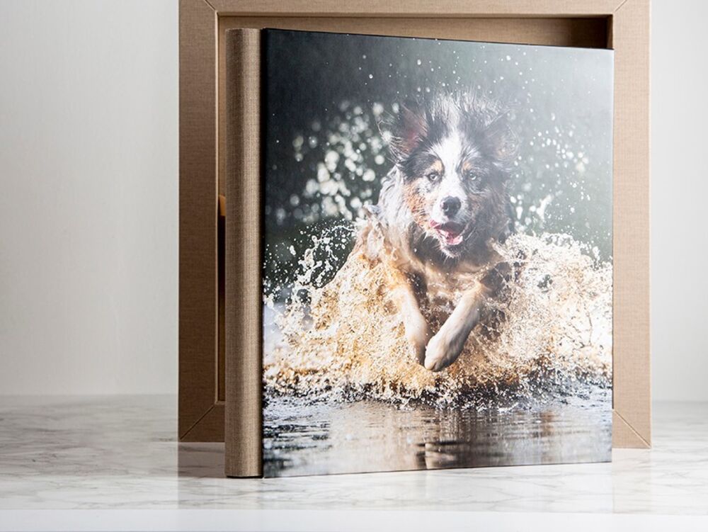 A photo album with a dog splashing through water on its cover